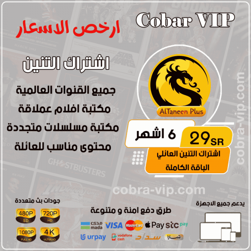 اشتراك التنين بلس مده 6 أشهر